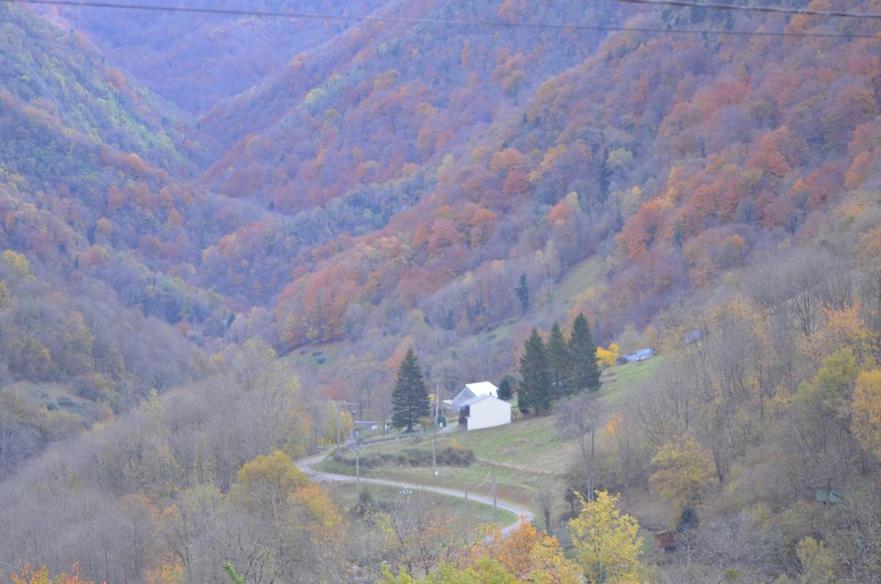 Legiteducerf 3 Etoiles Sengouagnet Exterior foto